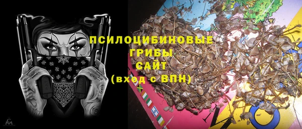 а пвп мука Верея