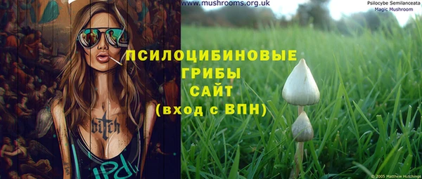ПСИЛОЦИБИНОВЫЕ ГРИБЫ Верхнеуральск