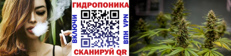 закладка  Кисловодск  Конопля White Widow 